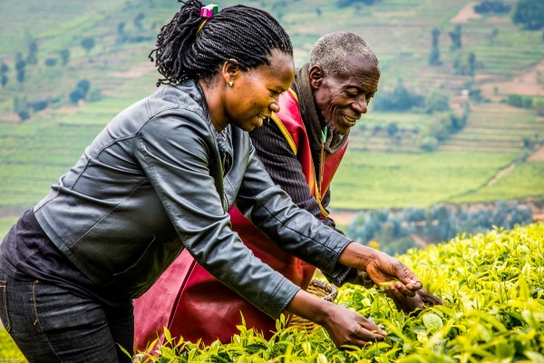 Bernadette Nyiraneza, directora gerente de la cooperativa productora de té Katecogro, hablando sobre té con el pequeño productor Rawbeni Rubyogo